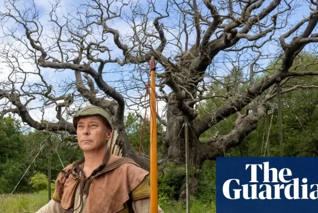 Słynny Dąb Major z Lasu Sherwood umarł po 1000 latach