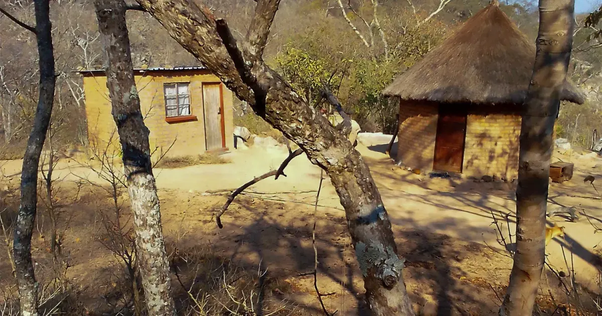 Zdjęcie przedstawiające pola kukurydzy w Zimbabwe, z widocznymi w tle domostwami i wzgórzami.