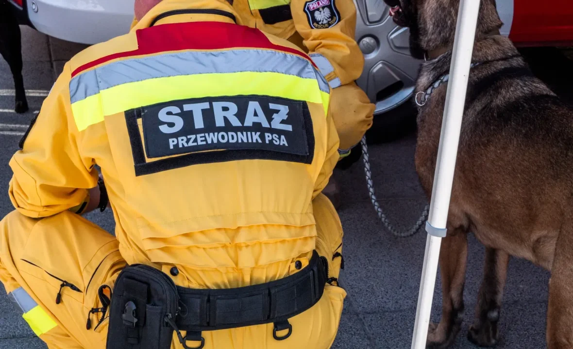 Jak sprawdzać informacje o decyzjach NATO i ich znaczeniu dla Polski
