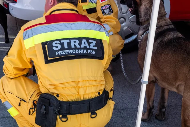 Jak sprawdzać informacje o decyzjach NATO i ich znaczeniu dla Polski