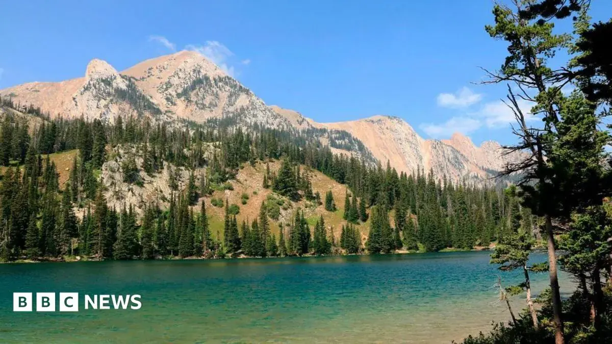 Prywatne odrzutowce zaparkowane na płycie lotniska w Bozeman, Montana, z górami w tle.