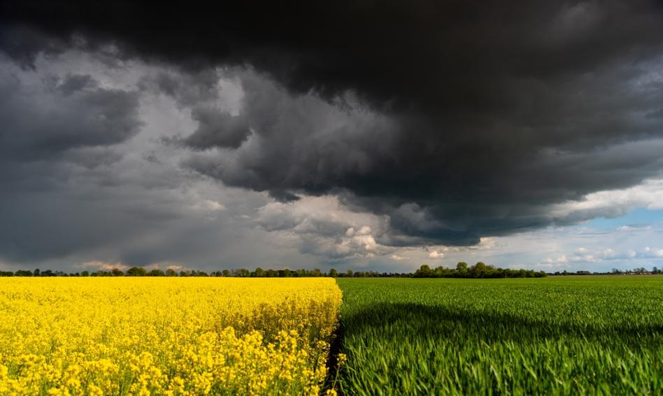 Widok na suche, spękane pola uprawne w Polsce, symbolizujący zagrożenie suszą rolniczą.
